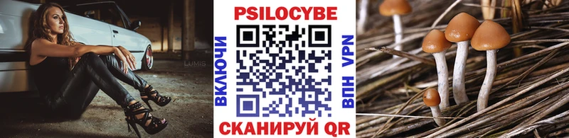 кракен tor  Сегежа  Псилоцибиновые грибы прущие грибы 